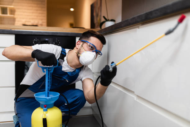 Best Flea Control Services  in Lordsburg, NM