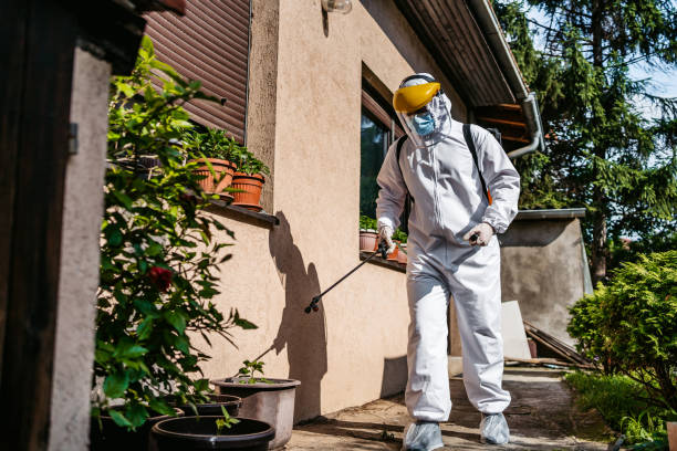 Pest Control for Restaurants in Lordsburg, NM