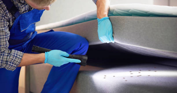 Best Rat Extermination Near Me  in Lordsburg, NM