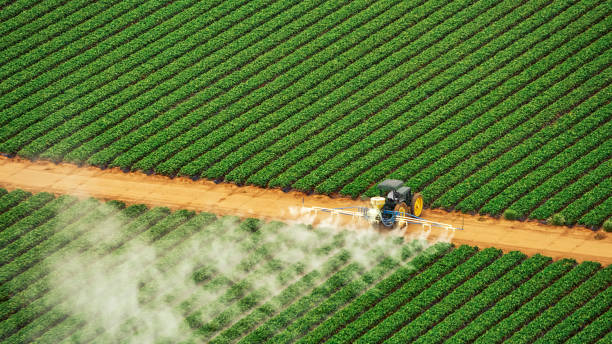 Best Pest Prevention Services  in Lordsburg, NM