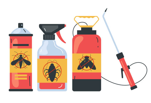 Best Ant Control Services  in Lordsburg, NM
