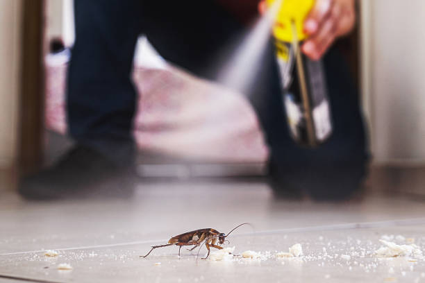 Best Pest Control Near Me  in Lordsburg, NM