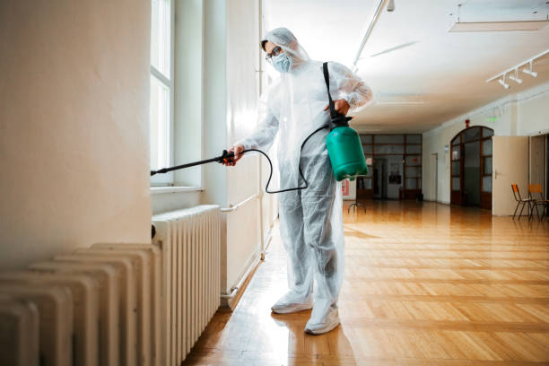 Best Pest Control Treatment  in Lordsburg, NM