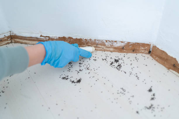 Best Best Pest Control Companies  in Lordsburg, NM