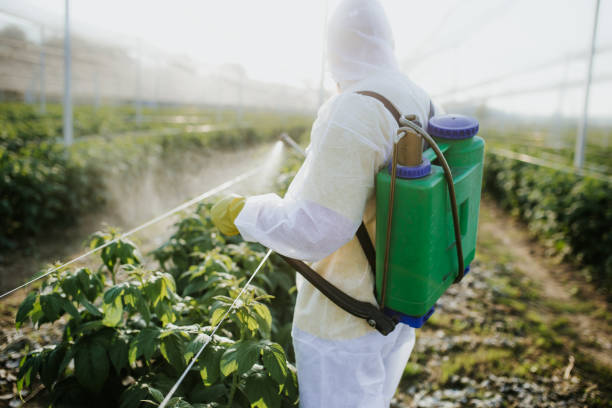 Best Mosquito Control Services  in Lordsburg, NM
